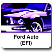 Ford Automotive EFI